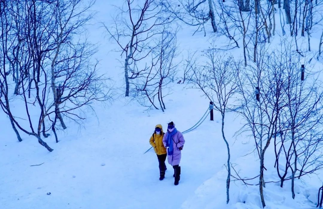 Such winter is really beautiful! You also can try so pat