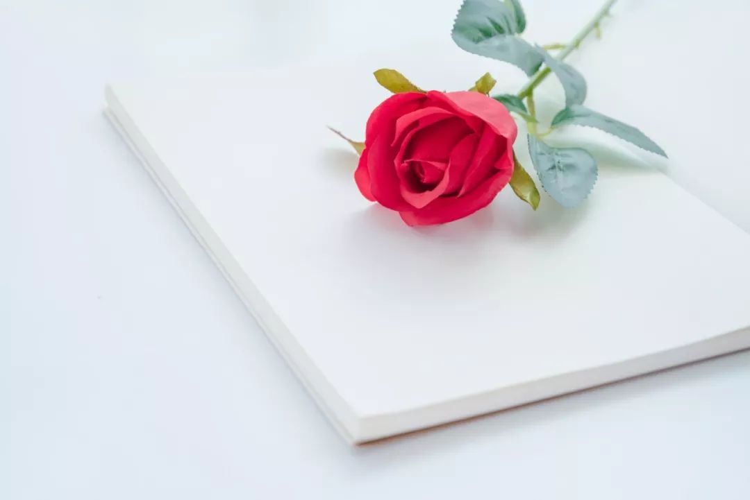 520ʫ100䣬䶼ǡҰ㡱