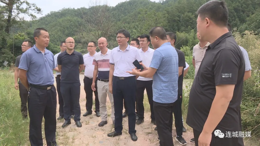 连城县领导调研农村乱占耕地违规建房问题整治工作