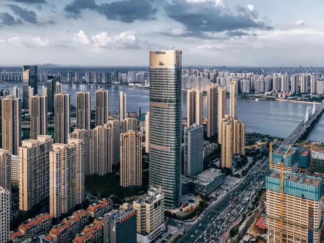 曾经播下的希望种子，此刻已枝繁叶茂