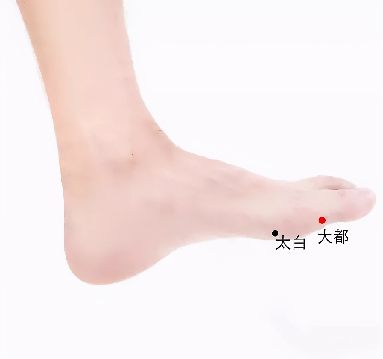五個原因令身體的鈣“無情”流失! 吃大把鈣片,不如艾灸5分鐘