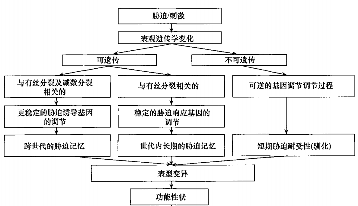 2019年，阿聯(lián)酋做了一個實驗：一株植物30天后被人活活“罵死”
