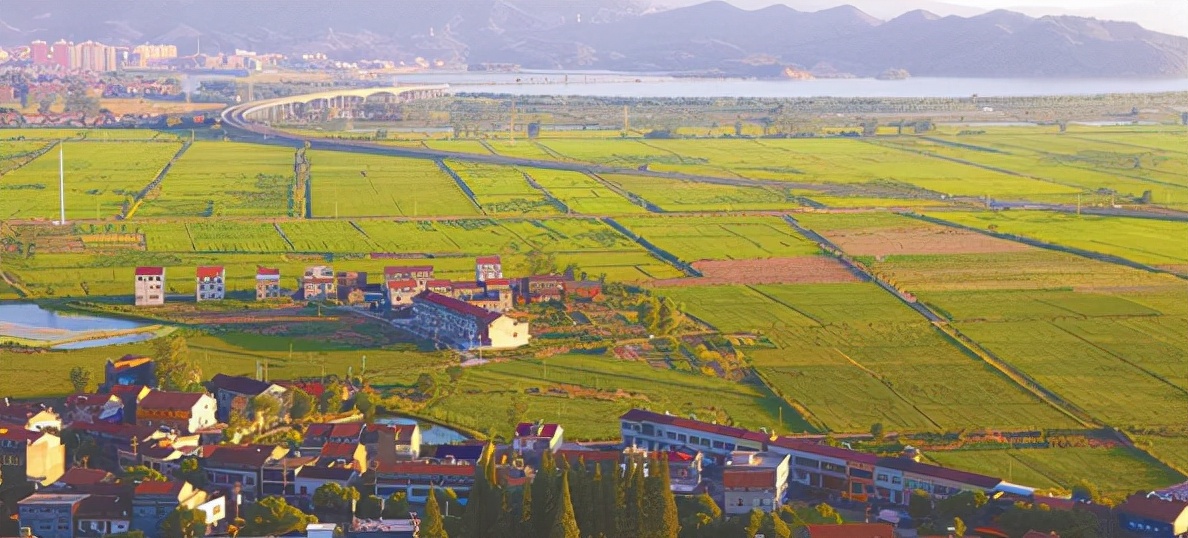 蓮藕甜，龍蝦鮮 半壁山管理區(qū)“四升”產(chǎn)業(yè)撐起農(nóng)村新局面