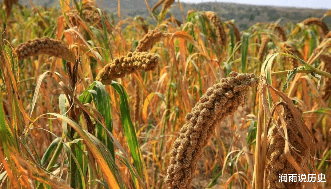 景阳冈一战，38名鬼子葬身火海，他们想不到脚上穿的是送命鞋