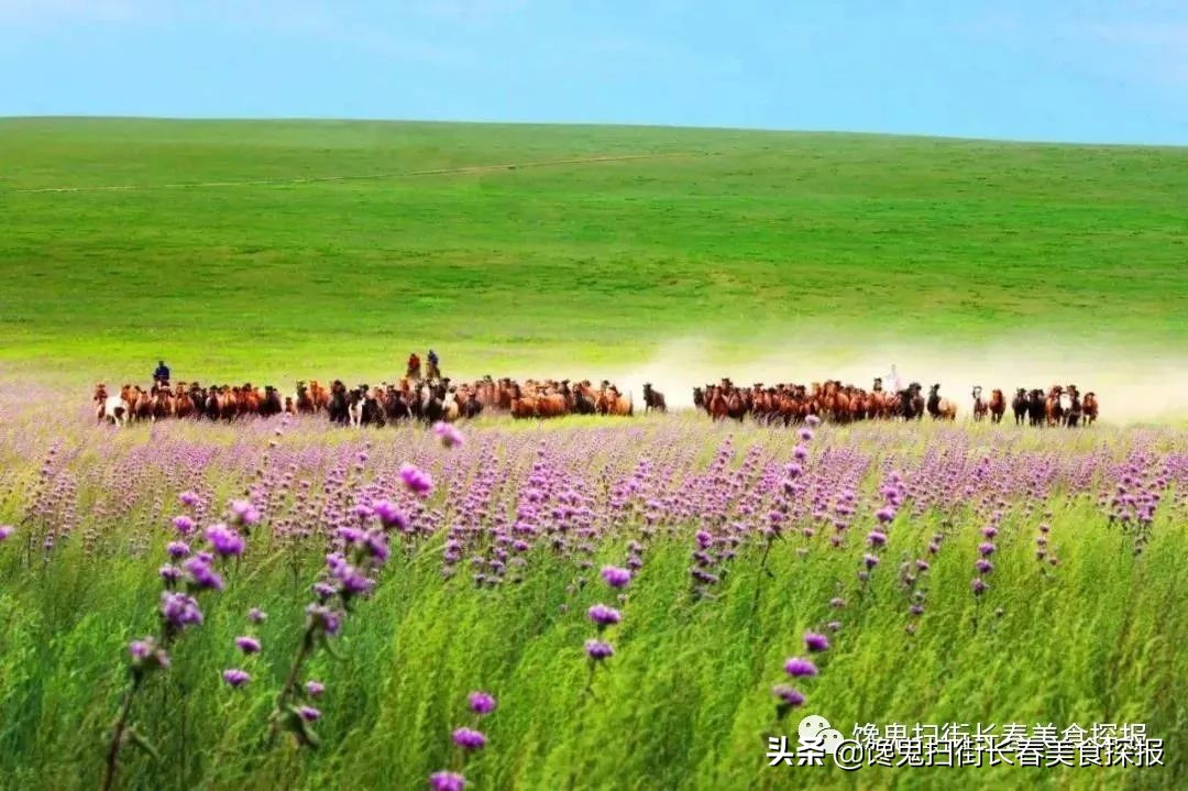 Take iron porcelain surely in Changchun rub eating house