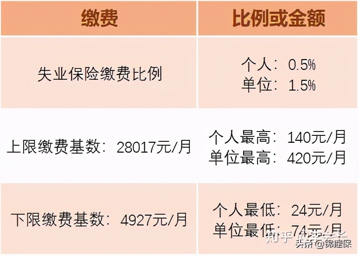 失业保险的领取条件是什么？被中断就业别慌，教你失业金怎么领取