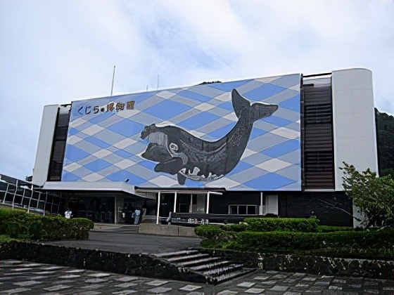 日本海豚灣重開，大批海豚遭到捕殺，屠殺現場出現大批抗議者