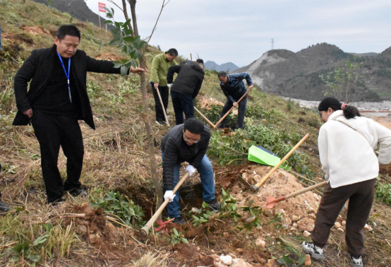新年添新绿 凯里市开展2021年义务植树活动