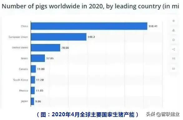 又一起非瘟！两场瘟疫！全球缺猪3亿头