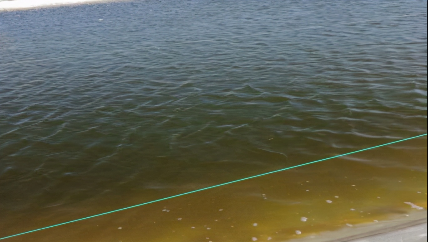 硅藻水3,乳酸粪肠球菌类强微菌剂,可以促进有益藻相的形成,并抑制有害