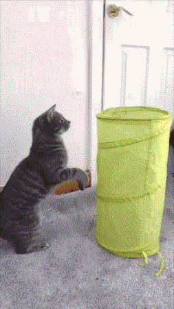 Atlas | Eider down takes the advantage that buys big drop, be clear at a glance with a ha is breathed out