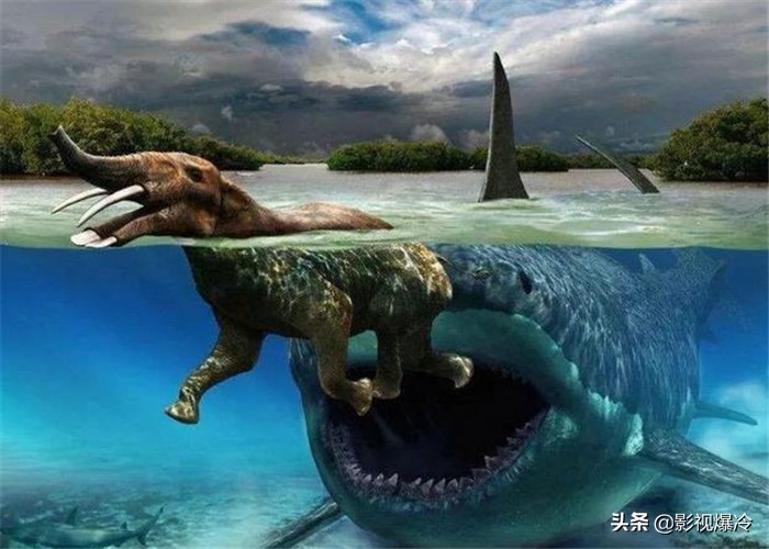 这3种史前生物如果没有灭绝，人类谁敢进入海洋
