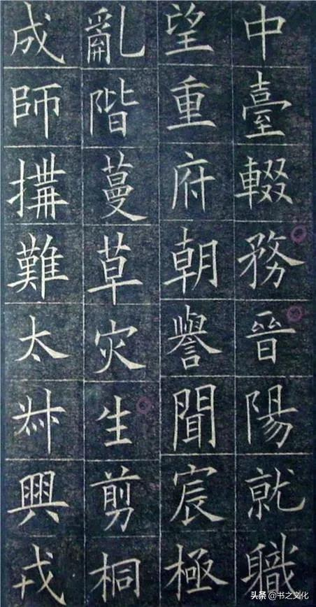 被修复后的欧体,美到骨子里