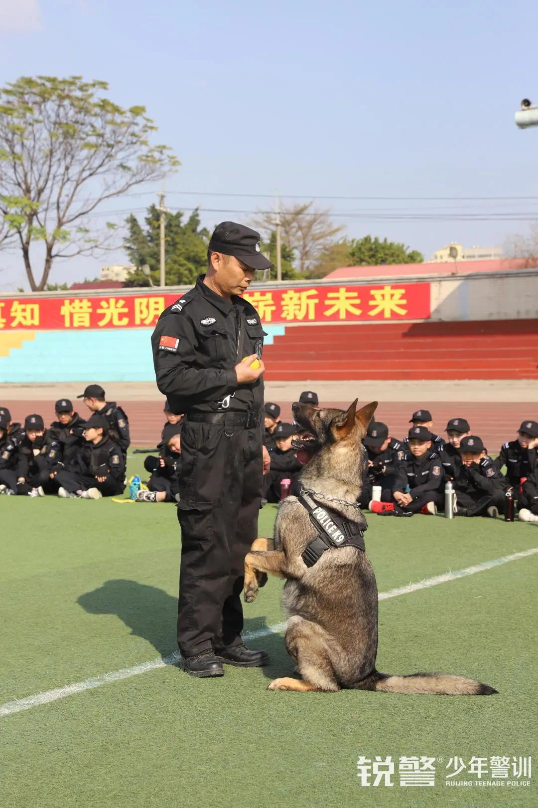 特警突击营圆满结营：历经警训淬炼，成就英勇少年