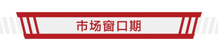 预计为两厢，售价或不到20万，特斯拉Model 2香不香？