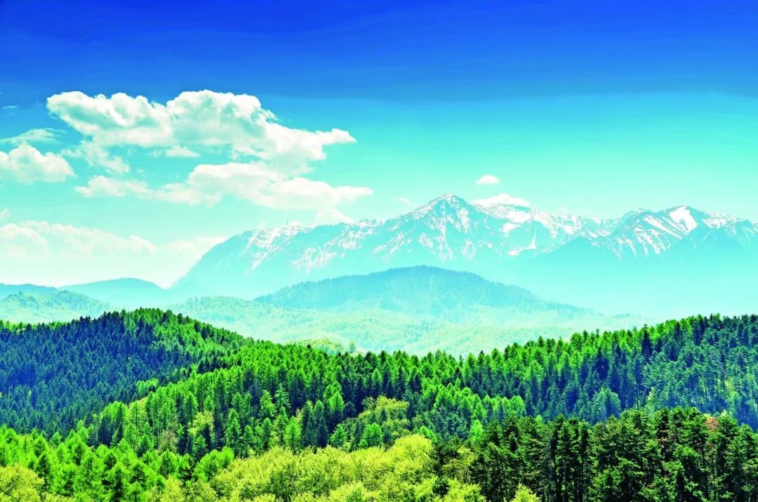 不忘甩锅！美国遭遇高温天气，上次怪中国人吃肉多，这次又怪啥？