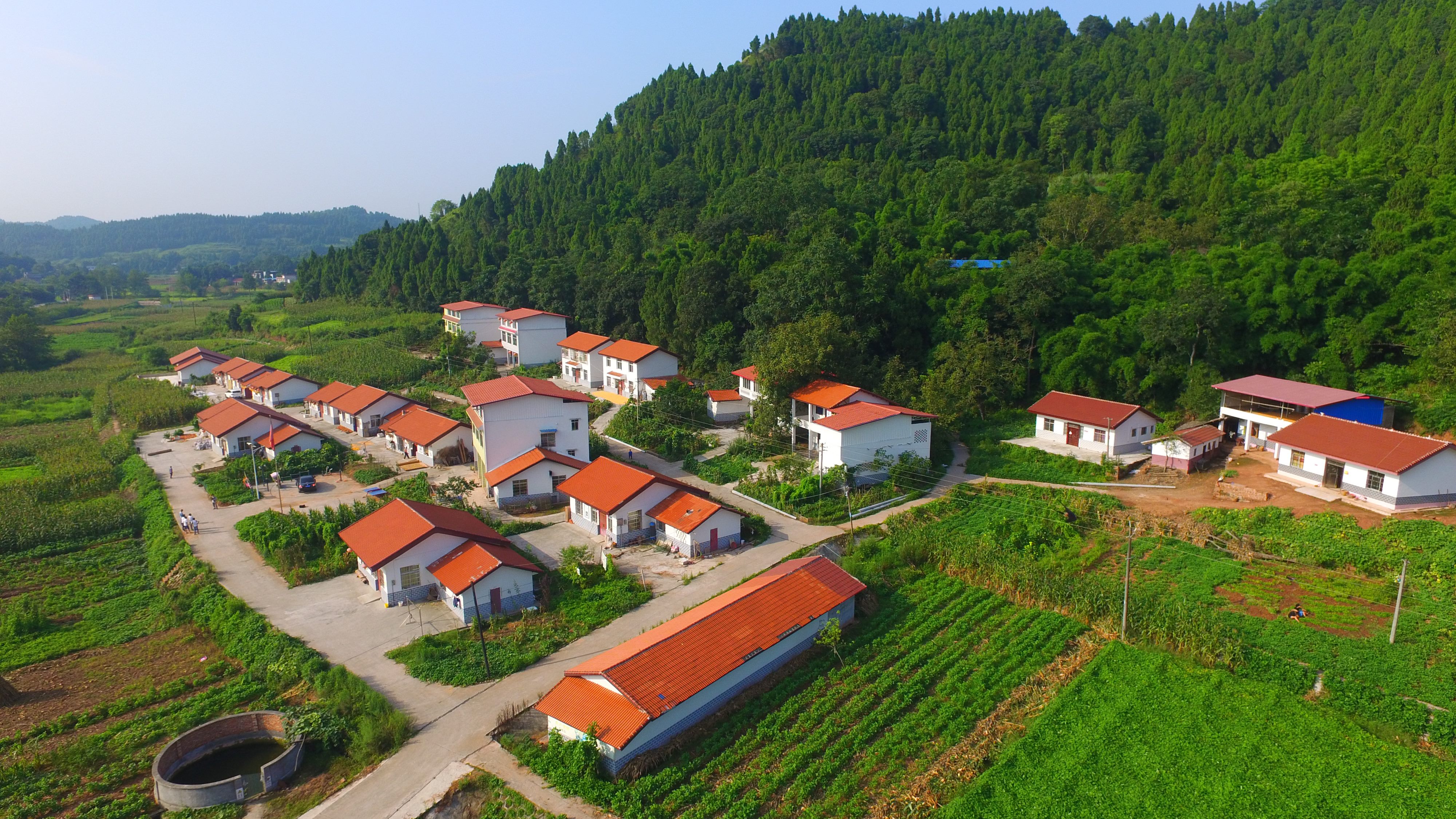 卓筒井故里的时代答卷大英县脱贫攻坚贫攻坚纪实