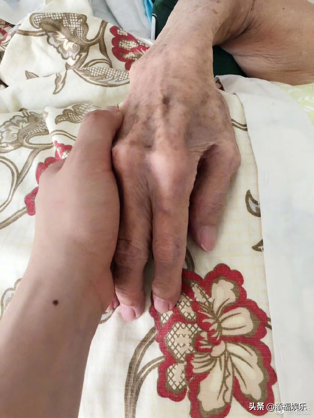 杨紫奶奶疑似病重！她晒出和奶奶握手的对比照，言辞让人心酸