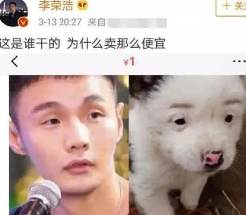 杨丞琳"黑"老公毫不手软，调侃李荣浩与猫长相相似，引网友狂笑