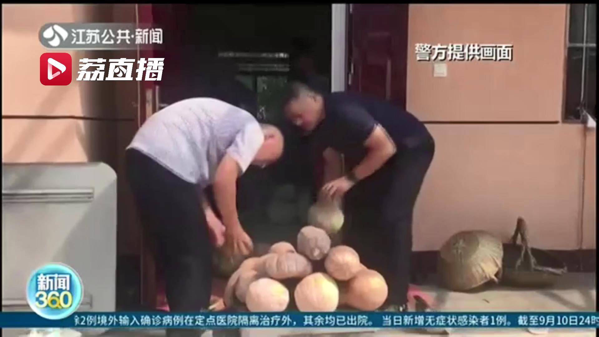 荒唐！女子效仿短视频去农家&ldquo;偷菜&rdquo;还开着豪车&ldquo;实战&rdquo;