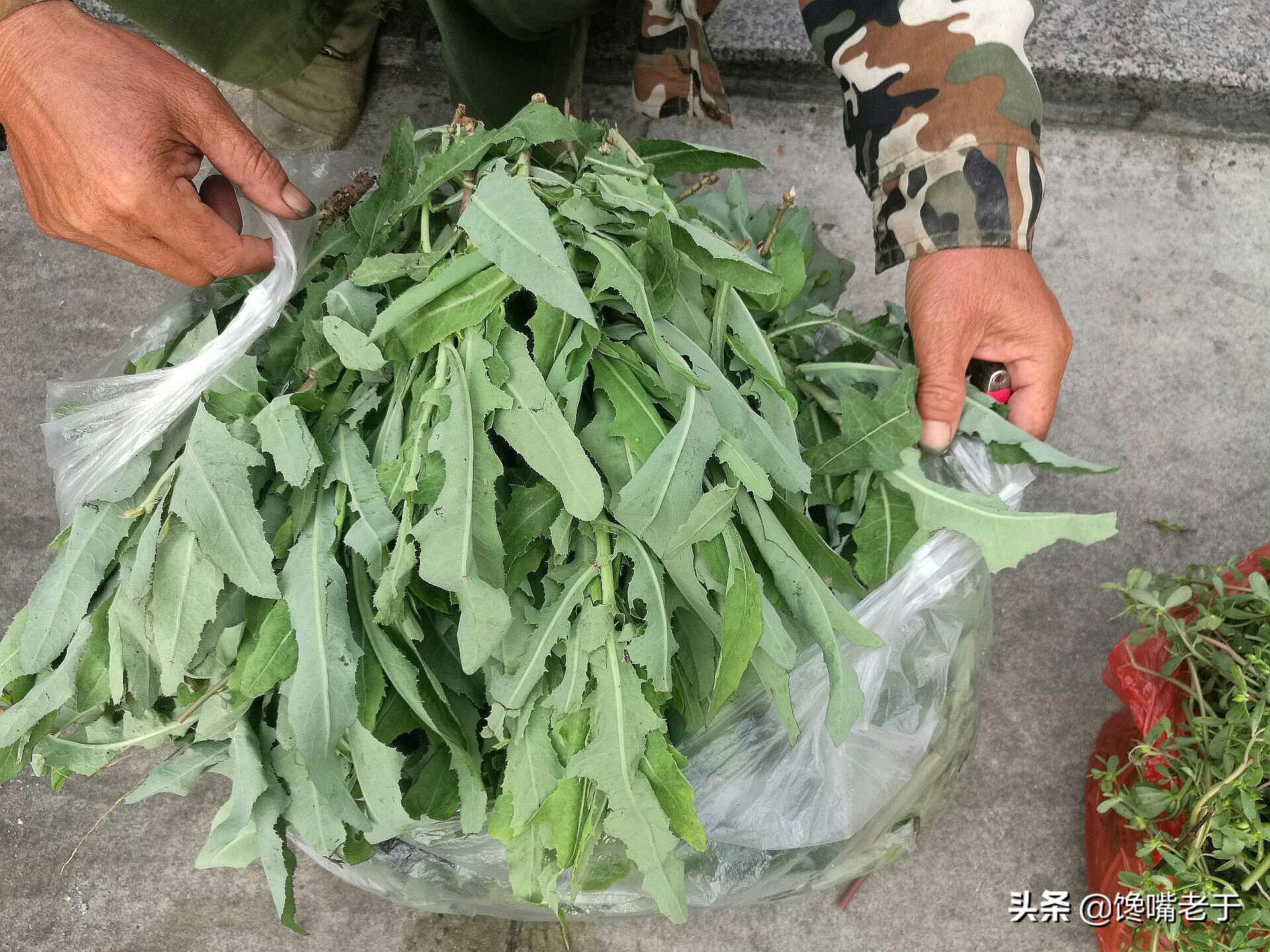 清明前后，不管有钱没钱，记得“3吃2不吃”，顺应时节身体棒