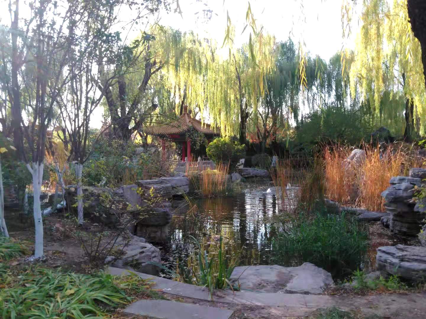 共工网诗人：济南园