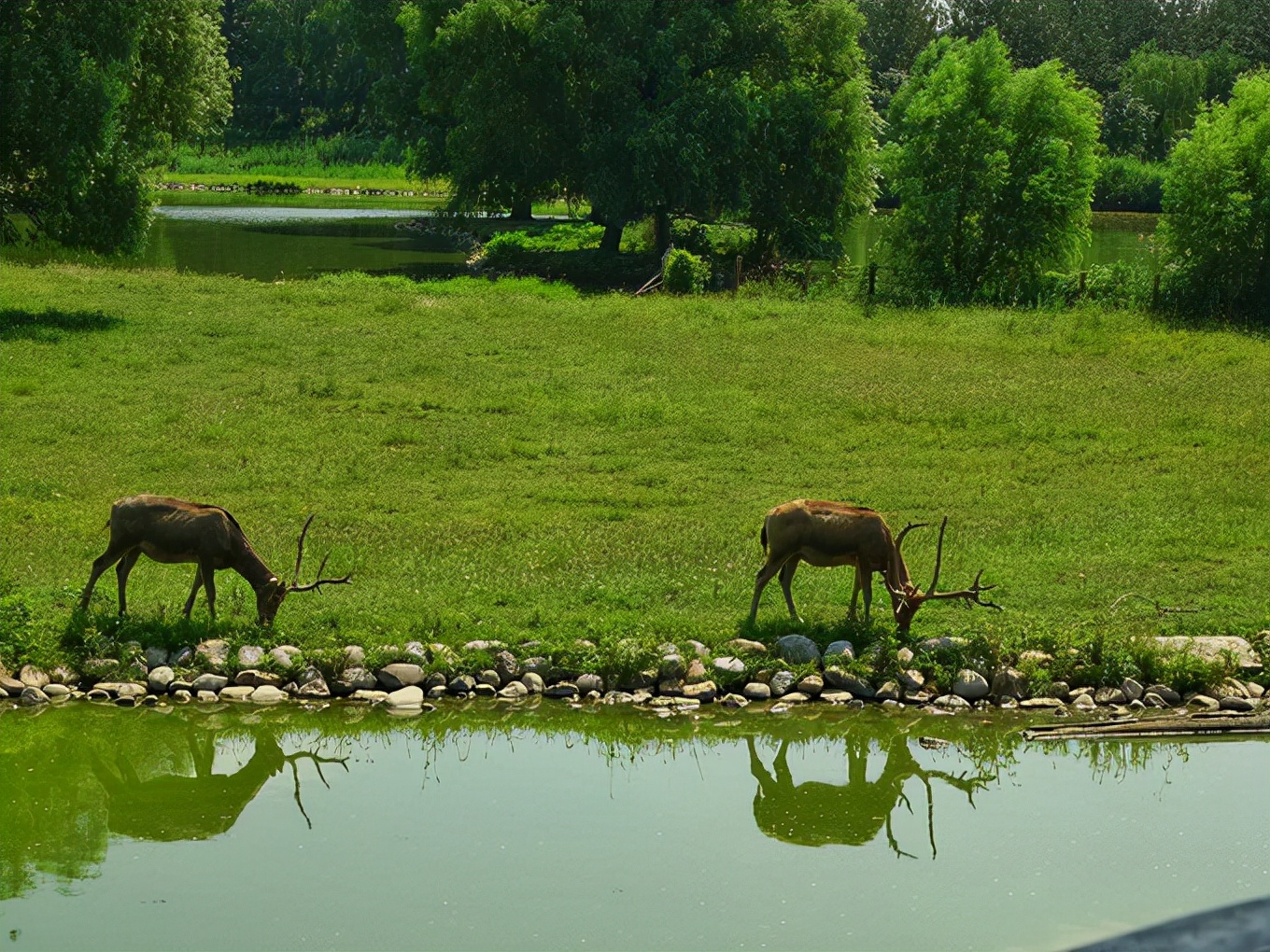 北京“最大濕地公園”走紅，曾是皇家后花園，門票0元適合遛娃