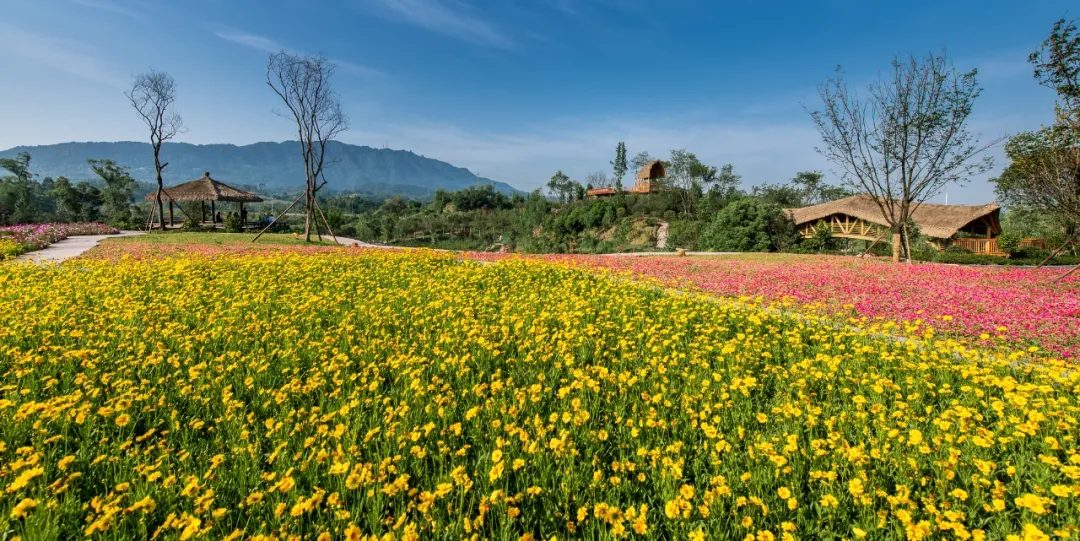 铜梁.龙乡绿道:在巴岳玄天下延展超级步行重庆的新可能性