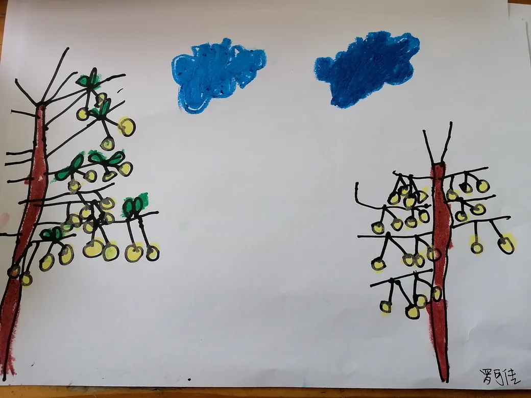 天府新区华阳幼儿园西区开展“幼儿园里的樱桃树”主题活动