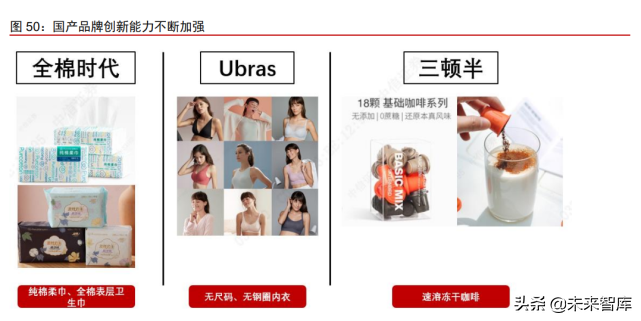 消费行业专题报告：解码国产品牌崛起