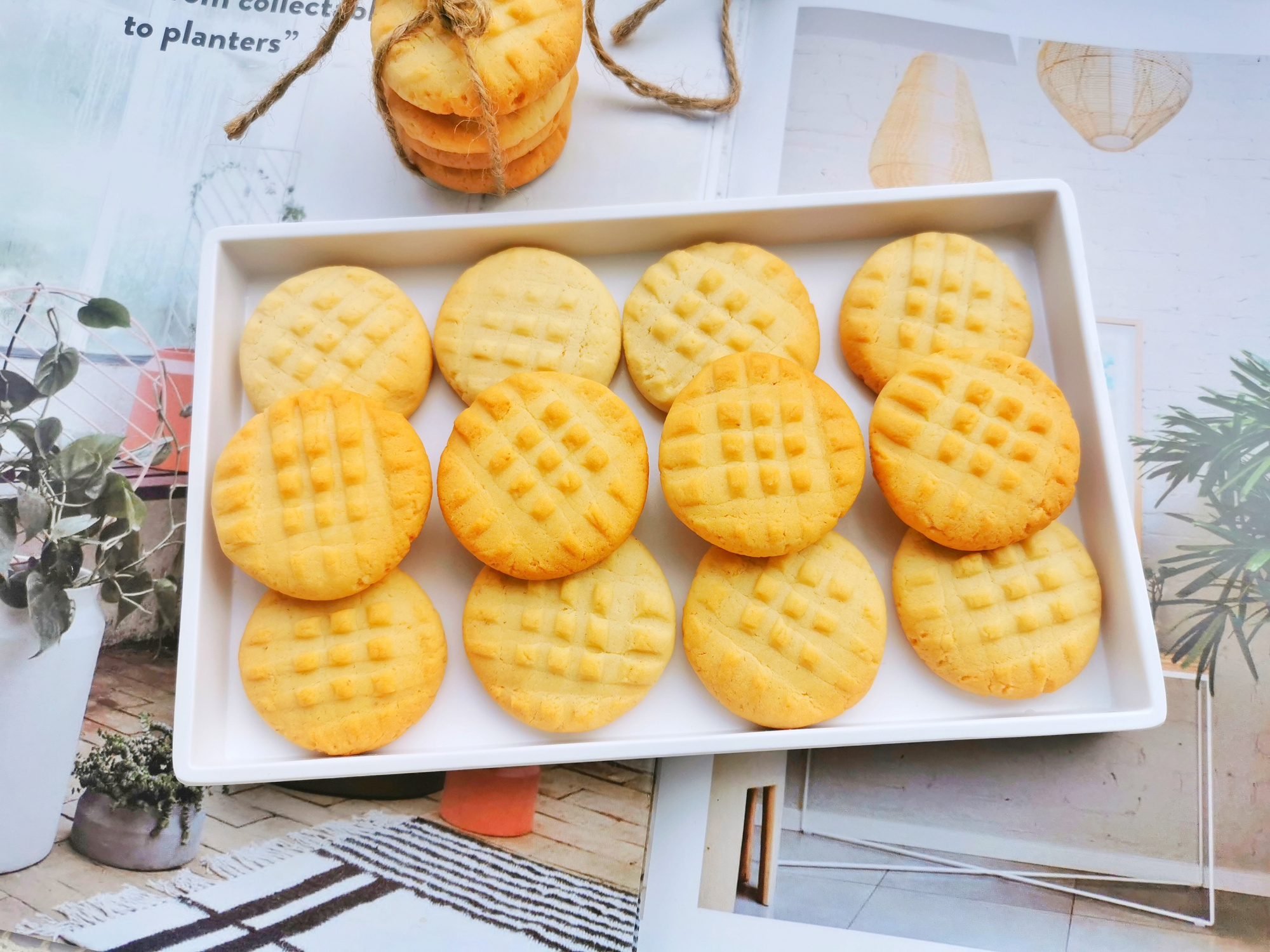 自製花生醬，不加水不加油，香濃細膩，用來做曲奇餅乾太香了