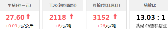 今日猪价！又是一片火红，还能涨几天？2个好消