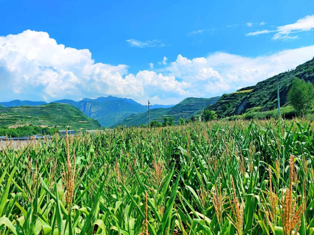 【五无甘南 魅力临潭】临潭：一处诗意一处景