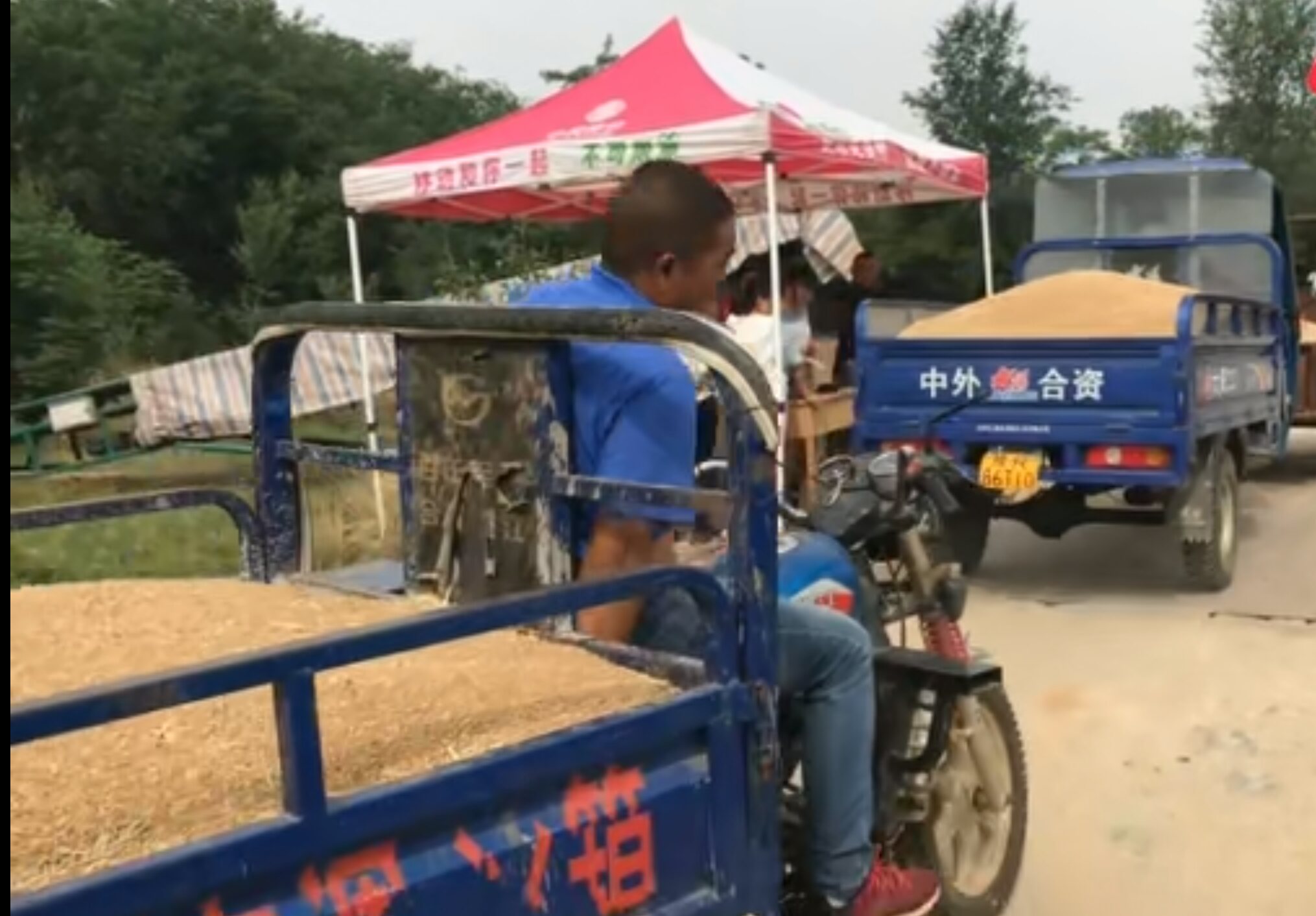 天气越来越热小麦收割步入高峰 市场价格是上涨