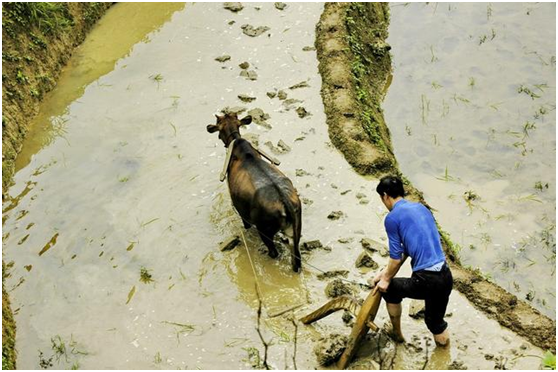 2亿多中国新农民的新福利，建行裕农通帮你了解