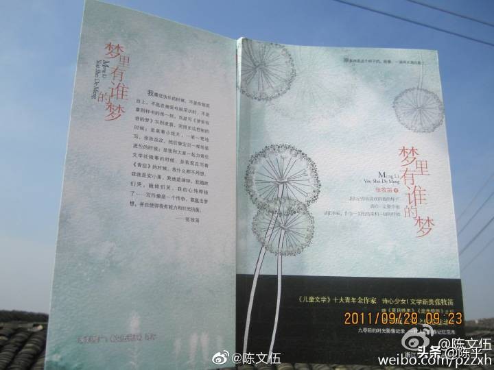 网友评张牧笛《梦里还有谁的梦》,写得比