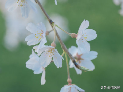 八字精辟短句 好好生活，慢慢相遇图片