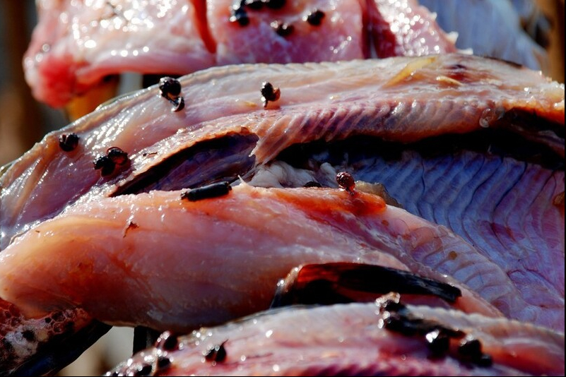 �������ֻ��Ĩ�Σ��μ�2���ؼ����裬����������ζ�н���