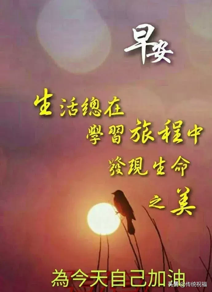 最能打动人心的早安问候 图片