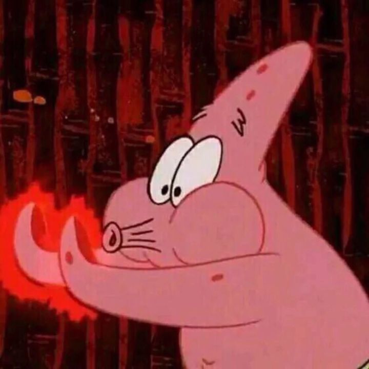 Big star of sponge darling and clique