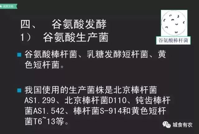 味精的迫害妄想症，鸡精的高级智商税
