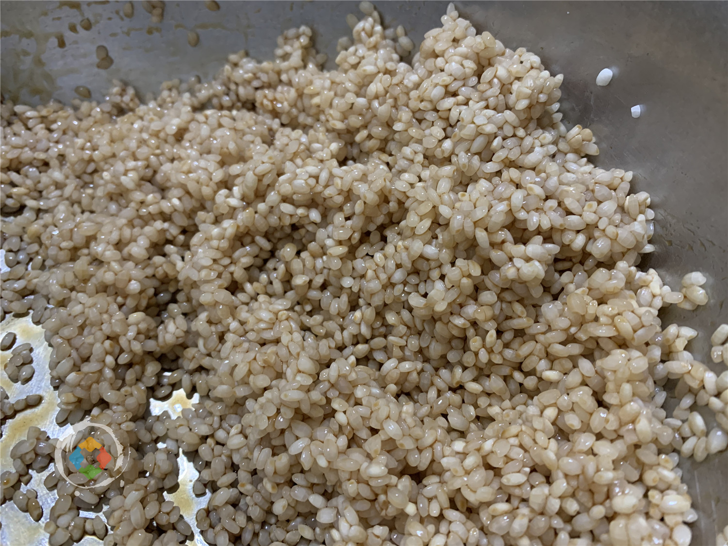 重庆的粽子有多独特？咸甜皆可，白粽子蘸糖吃，腊肉粽子最奢华