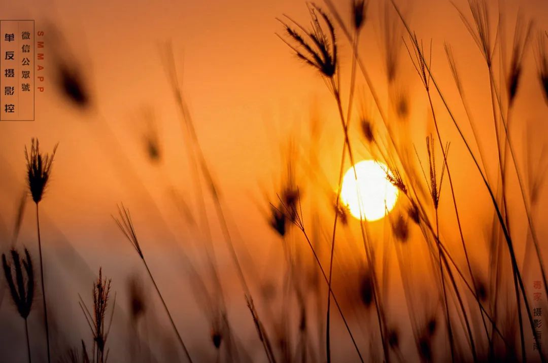 How does sunrise sunset film ability gives prize? 3 measure, give a beauty to explode! 