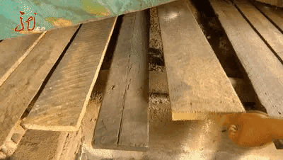 黑龙江男子床底下钻进一条蛇，一住就是三年。