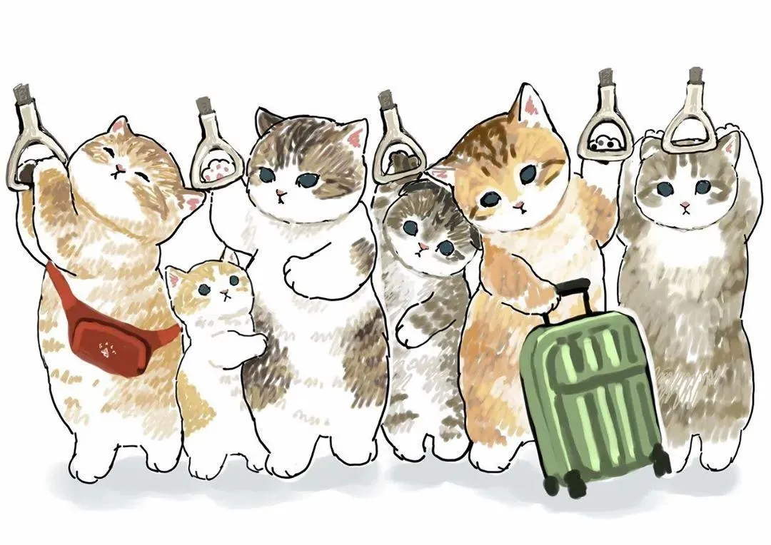 Twitter点赞量超4万的一组“猫片”,是不是像极了你自己?