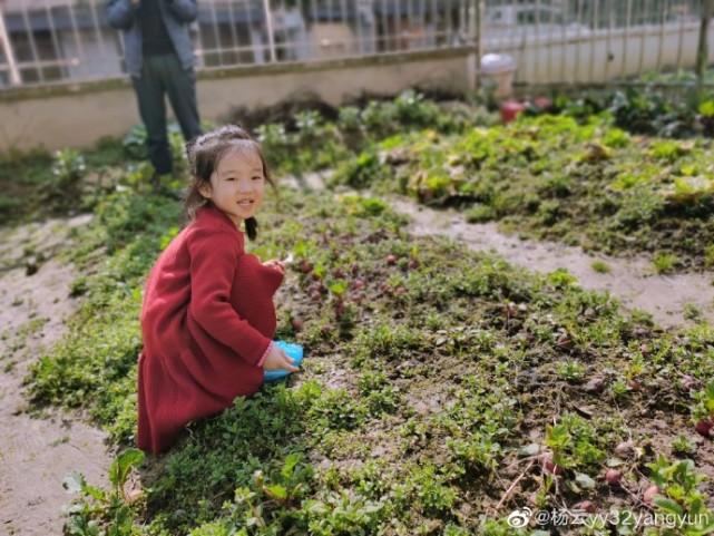 楊威老婆帶仨孩子採摘，樂樂變大力士拎兩筐草莓，高姐姐歡歡半頭