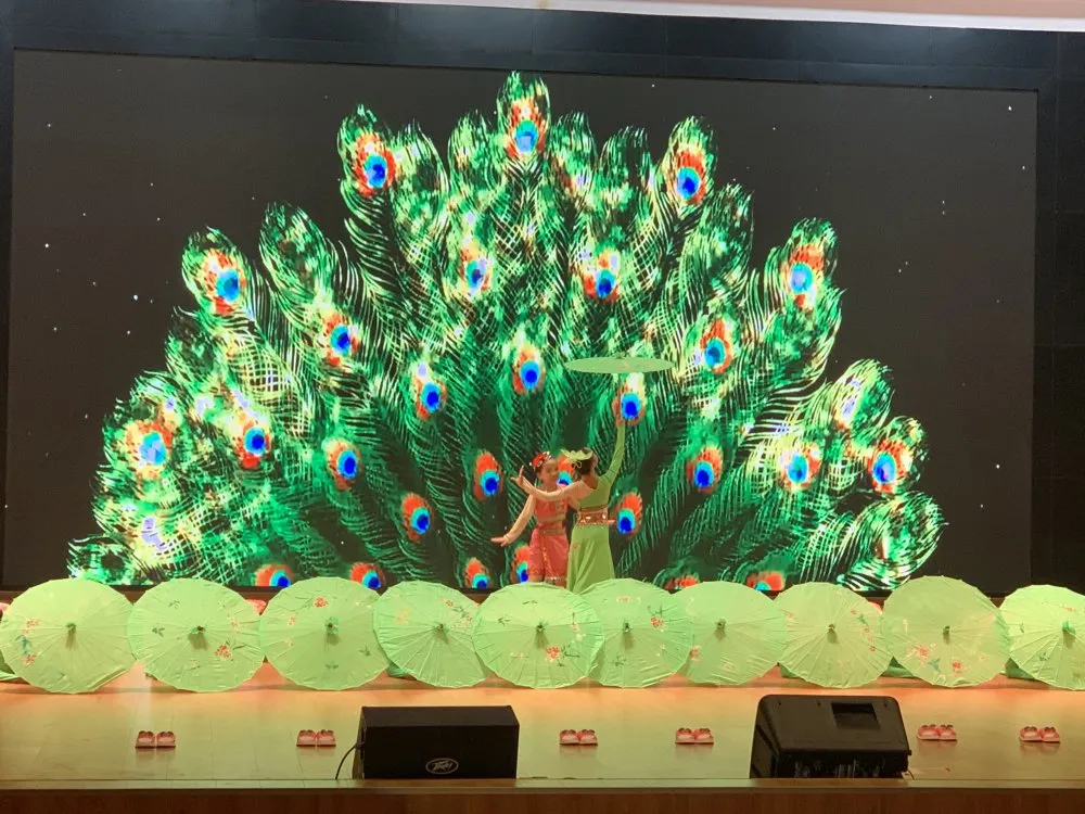 “踩雨水”踏舞步——双流区彭镇小学舞蹈社团参加区艺术节比赛