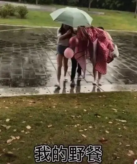 朋 友 圈 高 赞 野 餐 美 图 价 格 一 览