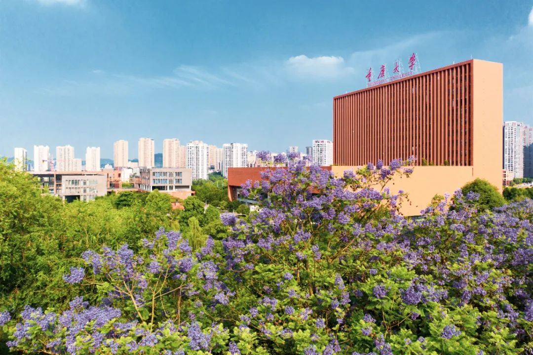 优化专业结构！重庆大学新增4个本科专业，撤销10个本科专业