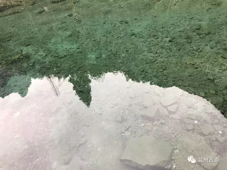 十八洞、迷魂谷、显胜门......雁荡险峰风光无限美!